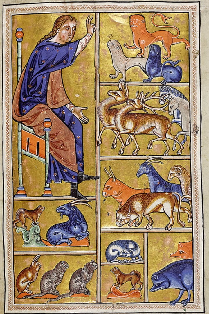 A page in the Aberdeen Bestiary showing the biblical story of Adam naming the animals.