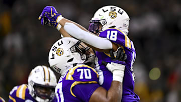 Dec 31, 2024; Houston, TX, USA; LSU Tigers running back Josh Williams (18) celebrates after scoring a touchdown during the second half against the Baylor Bears at NRG Stadium. The Tigers defeat the Bears 44-31. Mandatory Credit: Maria Lysaker-Imagn Images 