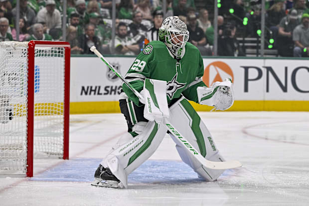 Hockey goalie in green uniform