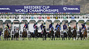 Nov 2, 2024; Del Mar, CA, USA; Horses leave the gate for the Turf race at the 2024 Breeders' Cup Championship at Del Mar Thoroughbred Club.