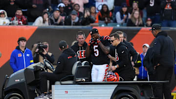 New England Patriots v Cincinnati Bengals