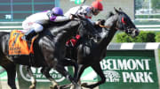 Belmont Park picks for Memorial Day Monday, May 29. 