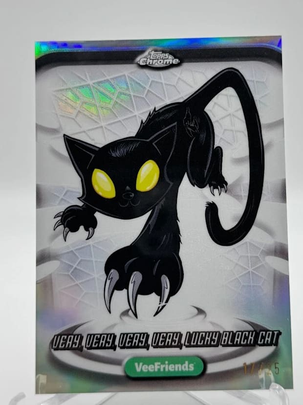 VeeFriends - Y2K  "Very, Very, Very, Very, Lucky Black Cat" /25 - SSP