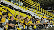 Tigre é o atual bicampeão catarinense