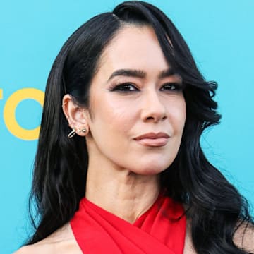 Who Is CM Punk's Wife? All About AJ Mendez (AJ Lee)