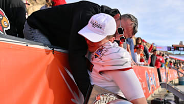 Louisville v Washington - Tony the Tiger Sun Bowl