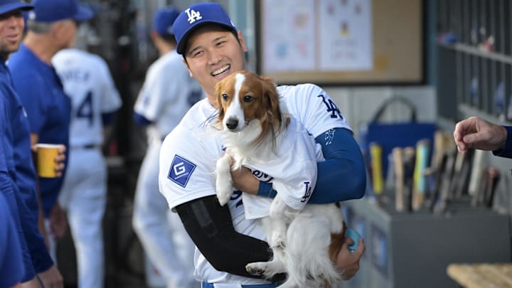 Aug 28, 2024; Los Angeles, California, USA;  Los Angeles Dodgers designated hitter Shohei Ohtani (17) walks through the dugout with his dog Decoy after delivering the first pitch before the game against the Baltimore Orioles at Dodger Stadium. 