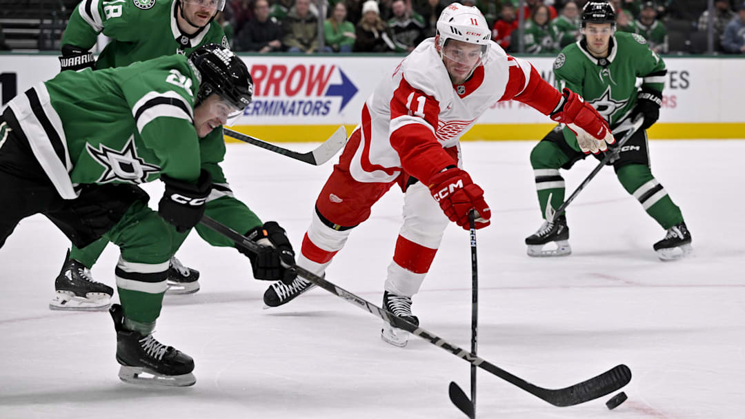 Jan 19, 2025; Dallas, Texas, USA; Dallas Stars right wing Matej Blumel (25) pokes the puck away from Detroit Red Wings right wing Vladimir Tarasenko (11) during the first period at the American Airlines Center. Mandatory Credit: Jerome Miron-Imagn Images