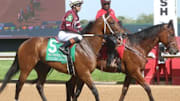 Clever Again wins the 2025 Hot Springs Stakes at Oaklawn Park