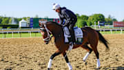 Jun 3, 2025; Saratoga, NY, USA; Journalism during morning workouts at Saratoga Race Course. 