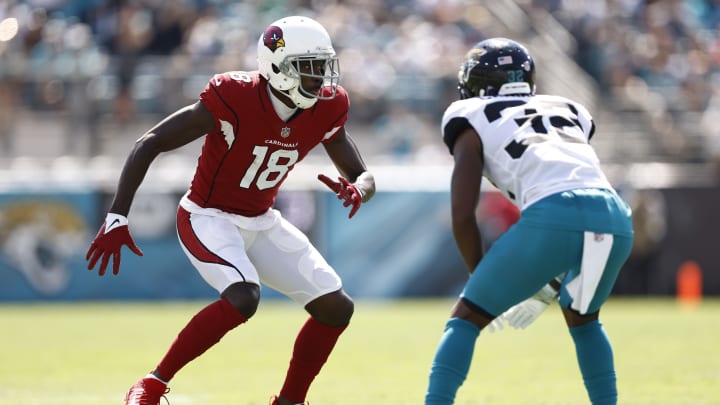 Arizona Cardinals v Jacksonville Jaguars