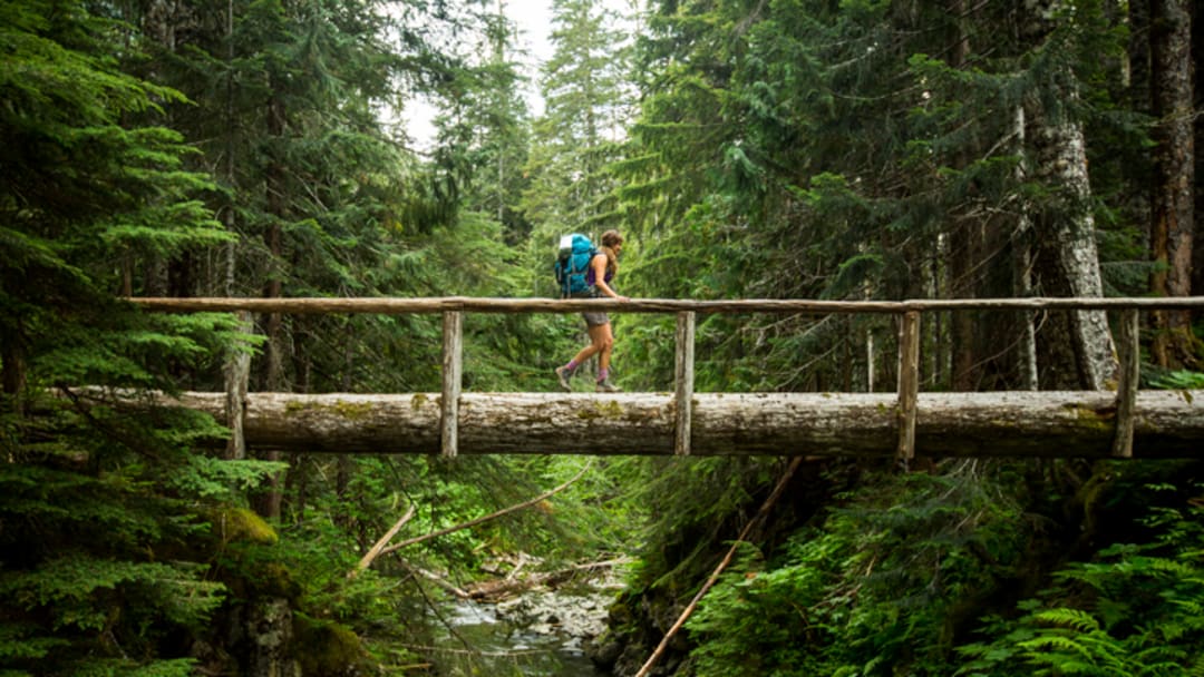 A hiker crosses a ravine on a log through Olympic National Park’s rainforest.