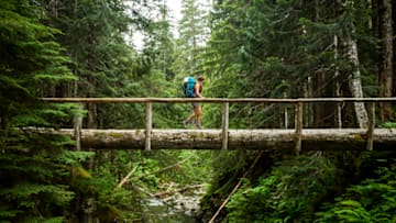 A hiker crosses a ravine on a log through Olympic National Park’s rainforest.
