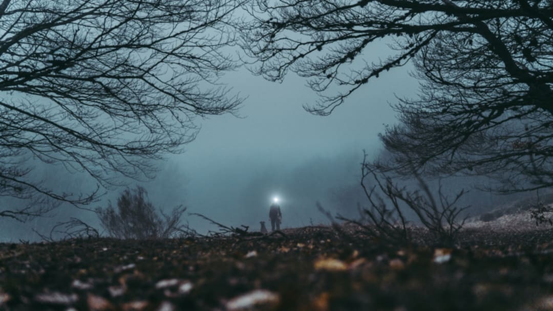 They say you should never hike alone. They say you should never hike alone.