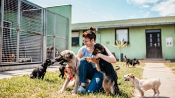 Volunteering may help you to feel more fulfilled (and shelter pups will appreciate your efforts, too).