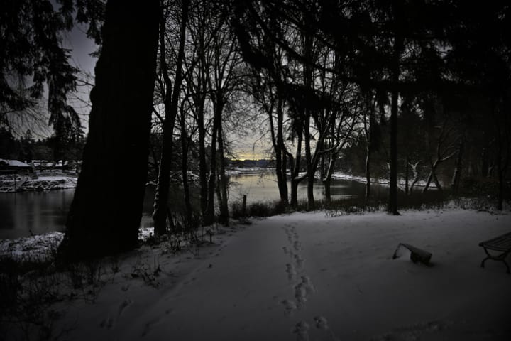 Footprints in the snow in darkened woods