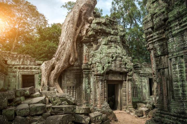 A large tree trunk growing out of a temple area in Angkor Wat