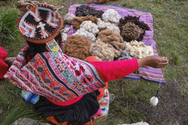 Quechua woman in colorful pink and red shawl spins yarn from alpaca fleece.