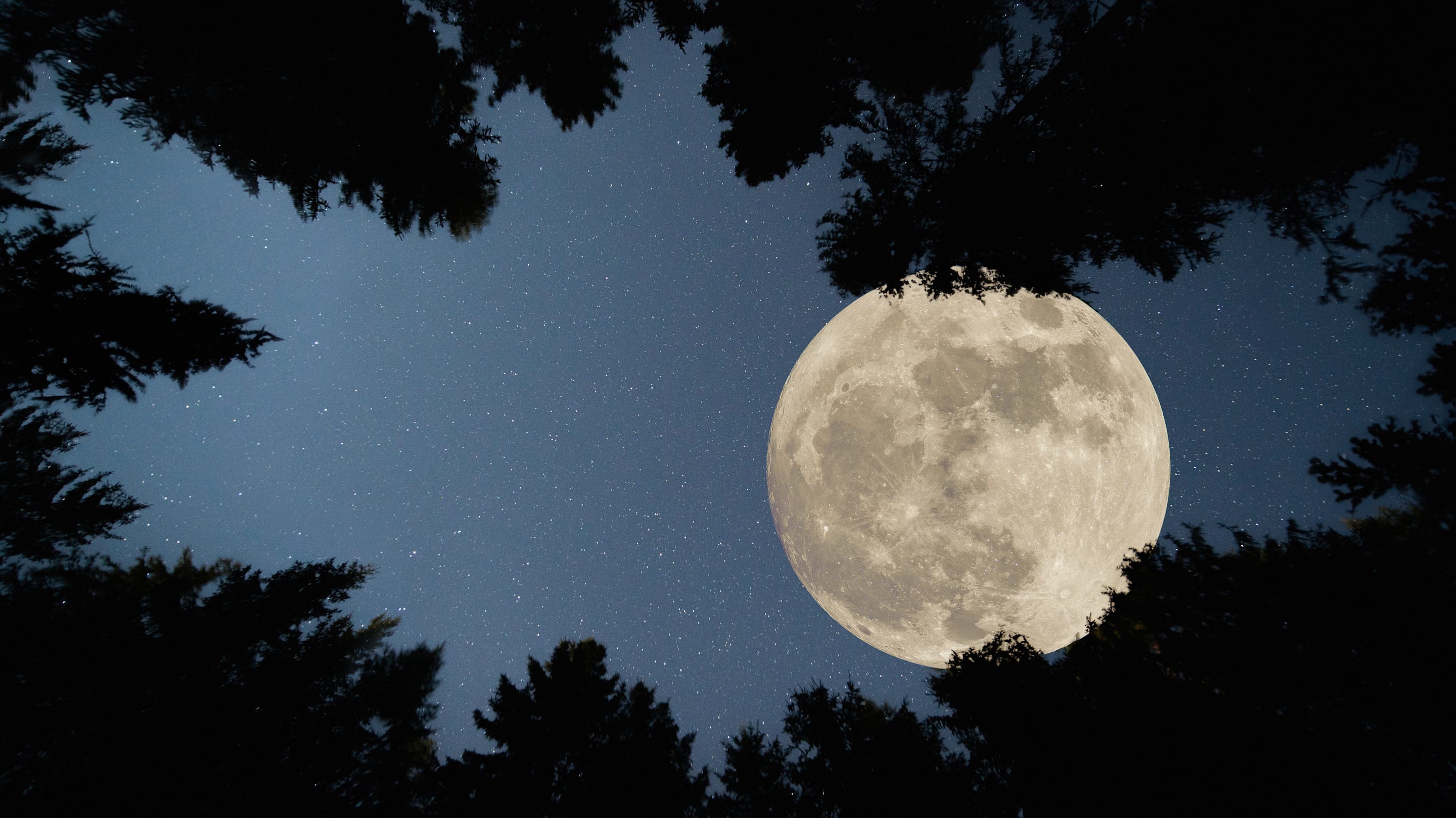 Don't Miss the Harvest Supermoon Partial Lunar Eclipse This Month