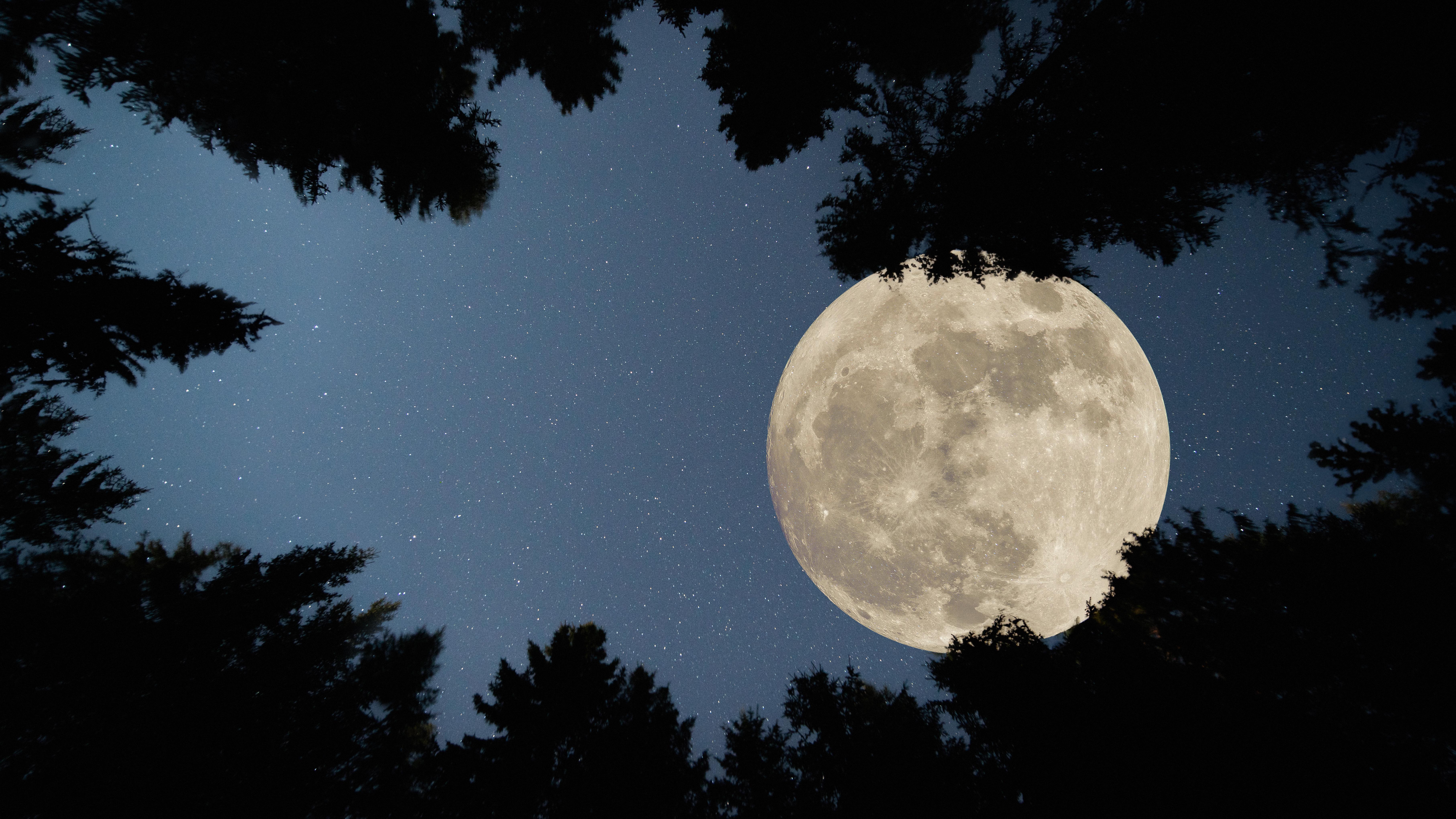 Don’t Miss the Harvest Supermoon Partial Lunar Eclipse This Month