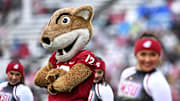 Oct 25, 2025; Pullman, Washington, USA; Washington State Cougars mascot Butch performs with the Crimson Girls during a game against the Toledo Rockets in the first half at Gesa Field at Martin Stadium. Mandatory Credit: James Snook-Imagn Images