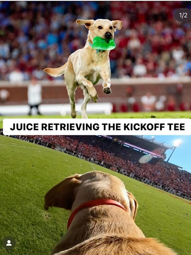 Lane Kiffin, daughter Landry’s adorable puppy photos will melt your heart