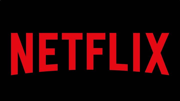 Netflix Logo Print PMS