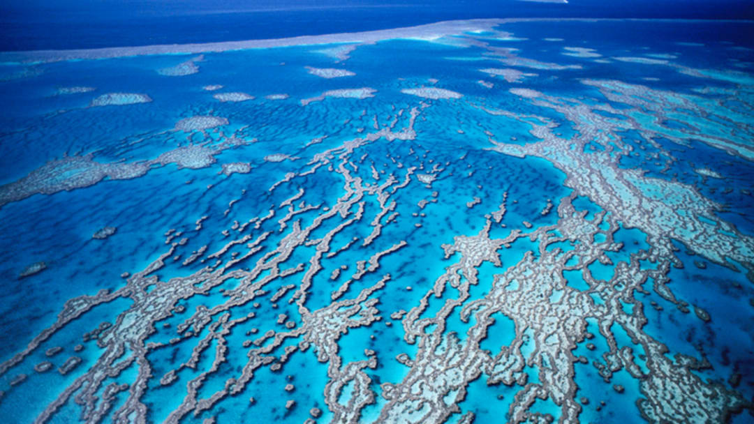 An aerial view of the Great Barrier Reef near Queensland, Australia. An aerial view of the Great Barrier Reef near Queensland, Australia.