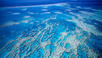 An aerial view of the Great Barrier Reef near Queensland, Australia.