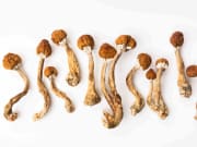 Magic mushrooms come in more strains than you might realize.