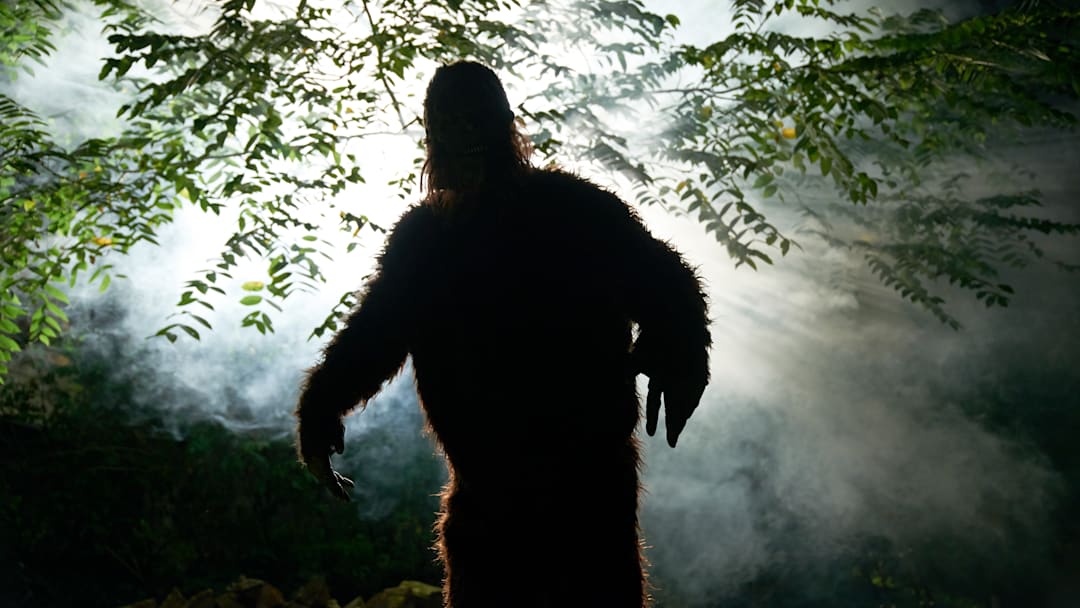 Bigfoot can’t be in the crosshairs here.