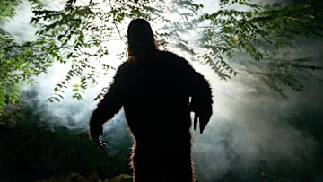 Bigfoot can’t be in the crosshairs here.