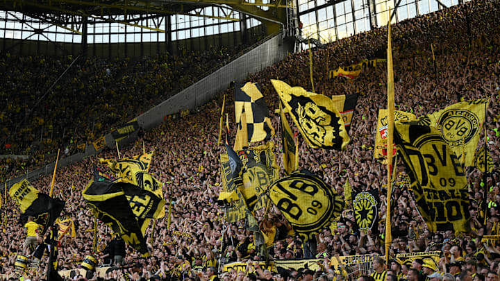 Einige BVB-Fans haben den Verein mit ihrem Fehlverhalten viel Geld gekostet Einige BVB-Fans haben den Verein mit ihrem Fehlverhalten viel Geld gekostet