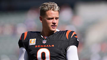 Baltimore Ravens v Cincinnati Bengals