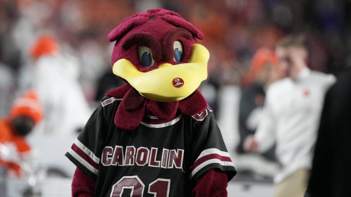 Nov 25, 2023; Columbia, South Carolina, USA; South Carolina Gamecocks mascot Cocky performs on the side lines in the second half against the Clemson Tigers at Williams-Brice Stadium. Mandatory Credit: David Yeazell-USA TODAY Sports