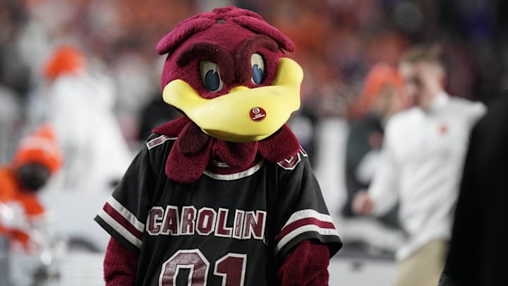 South Carolina football mascot Cocky