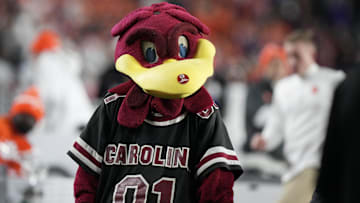 Nov 25, 2023; Columbia, South Carolina, USA; South Carolina Gamecocks mascot Cocky performs on the side lines in the second half against the Clemson Tigers at Williams-Brice Stadium. Mandatory Credit: David Yeazell-Imagn Images
