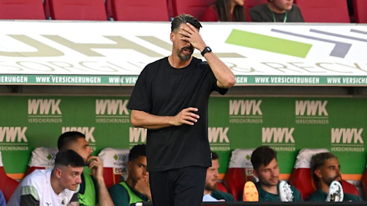 Sandro Wagner