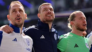 Gemeinsam von der 2. Liga auf die WM-Bühne: Die Schalker Bosnier Nikola Katić und Edin Džeko Gemeinsam von der 2. Liga auf die WM-Bühne: Die Schalker Bosnier Nikola Katić und Edin Džeko