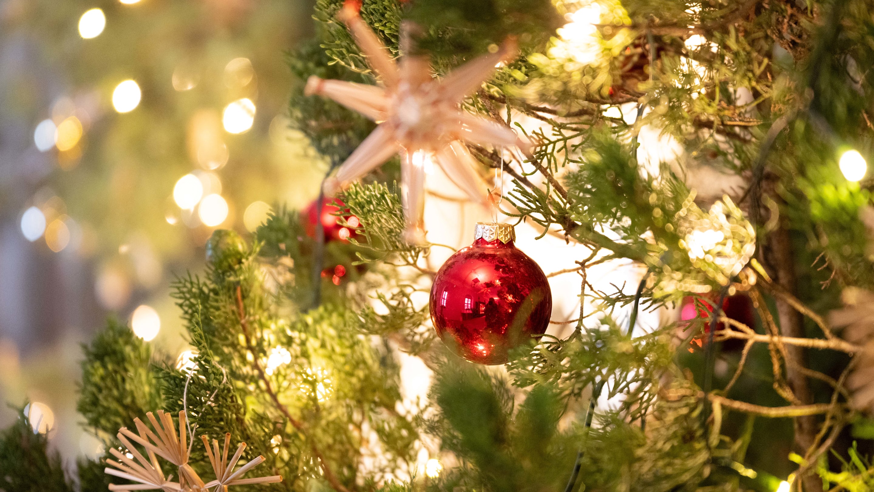 America’s 10 Most Expensive Cities to Host Christmas This Year—The Top 3 Are All in the Same State