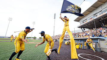 Savannah Bananas v The Party Animals