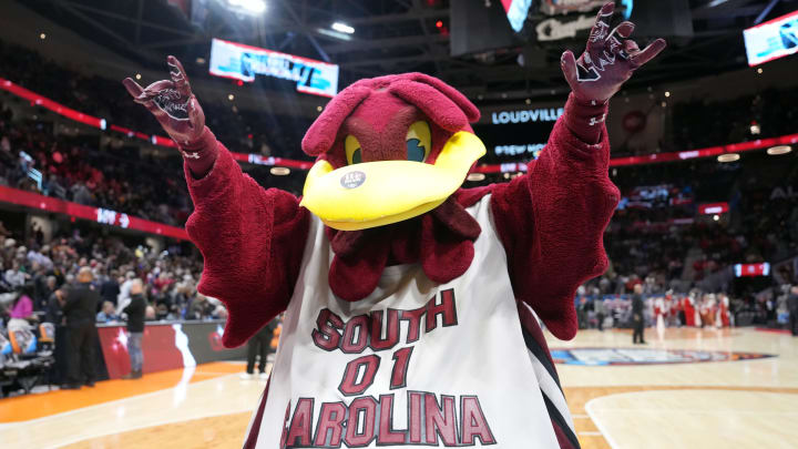 South Carolina Gamecocks mascot Cocky