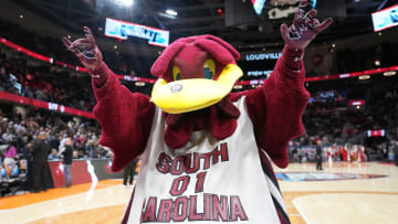 South Carolina Gamecocks mascot Cocky