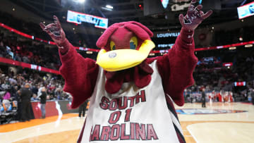 South Carolina Gamecocks mascot Cocky