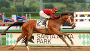 Journalism is the favorite for the 2025 Kentucky Derby.