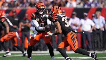 Baltimore Ravens v Cincinnati Bengals
