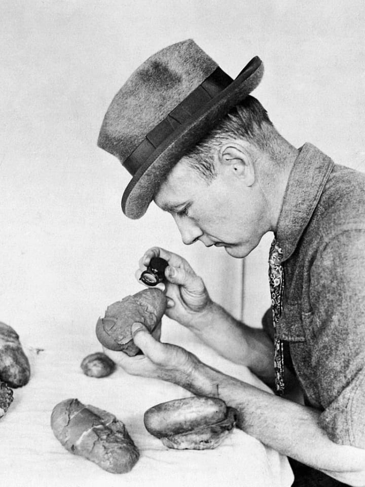 Roy Chapman Andrews examining dinosaur egg fossils.