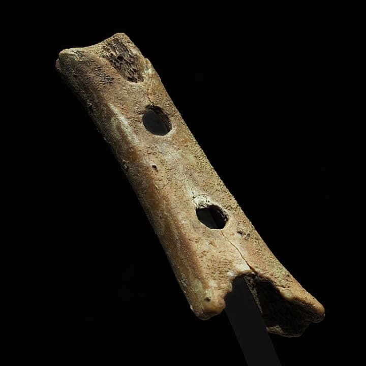 The Divje Babe flute, discovered in Slovenia, was made from a cave bear bone about 43,000 years ago.