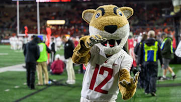 Nov 1, 2025; Corvallis, Oregon, USA; Washington State Cougars mascot Butch on the sidelines during the second half against the Oregon State Beavers at Reser Stadium. Mandatory Credit: Craig Strobeck-Imagn Images