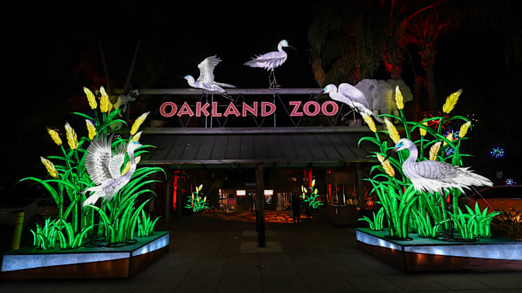 Oakland Zoo ''Glowfari'' Lantern Festival